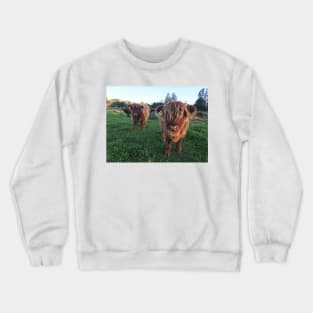 Scottish Highland Cattle Calves 1826 Crewneck Sweatshirt